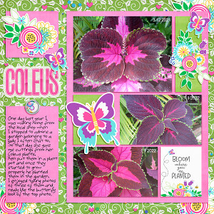 MOC_Day15_Filled-Page-Style_Coleus
