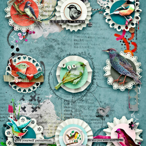 MOC19_SameButDifferent_BirdsOfAFeather
