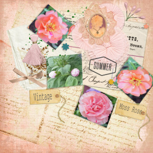 16_try-to-find-hope