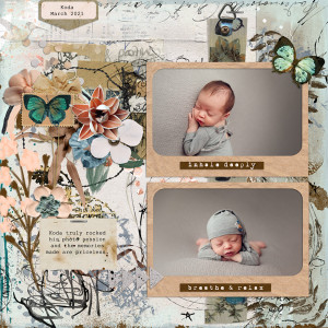 1-15-FILLED PAGE-web