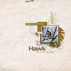 Day 16 MOC 10 Hawk On A Snowy Day