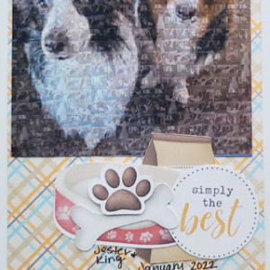 Moc-22-day-14-ka-furbabies-dog