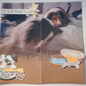 Moc-22-day-4-ka-furbabies-dog