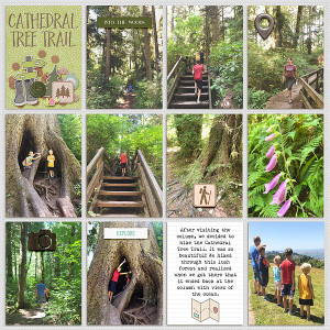 cathedral tree trail - MOC day 13