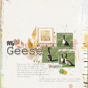 January-16---Simple-Template---My-Geese