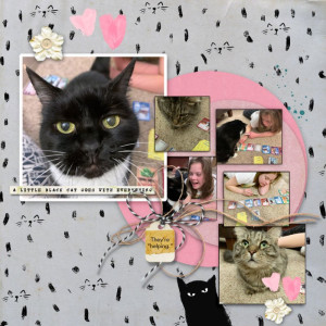 MOC10 Cats And Cards