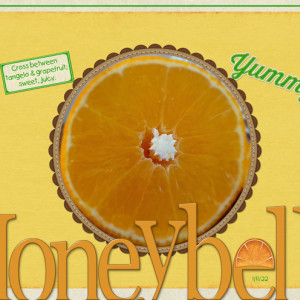 January-17---Title-Bleeding-off-the-Page---Honeybells