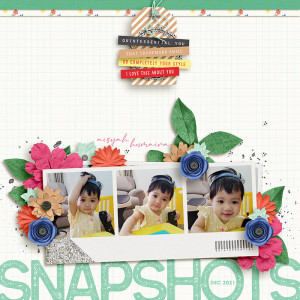 Snapshots