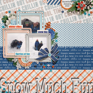 2017_1_Snow Much Fun_MOC17