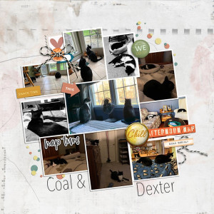 MOC10-10 10 Photos That Relate: Coal & Dexter