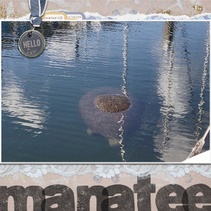 MOC10 1-17-22 Title Bleeding off the page - Manatee