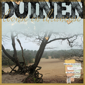Loonse en Drunense Duinen MOC10 17