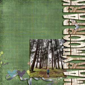 MOC 10 #17 Marymoor Park