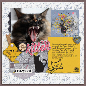Athena Ferocious