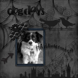 MOC 10 Jan18_All Black With B&W Photo_dog Days