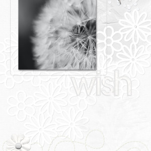 January-18---All-Black-or-All-White---wish