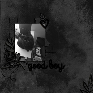 MOC10_D18_Good boy