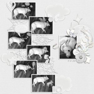 MOC10 - Jan18: All Black or All White with a B/W Photo - Floof Art