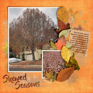 Day 19-Skewed-Seasons_web