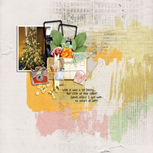 MOC10---JANUARY-20---SCRAP-A-BAD-PHOTO