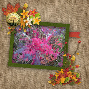 January 20: Scrap a bad photo