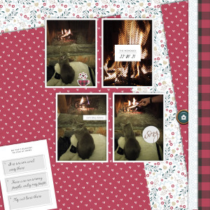 210122_cat Fire