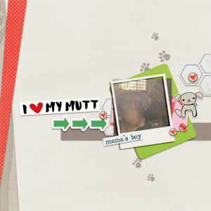 Day-20-Scrap-a-bad-photo