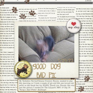 MOC-10-Day-20-Scrap-a-Bad-Photo