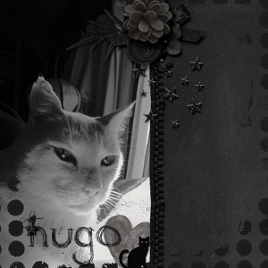 MOC-10-18-January-All-black-or-all-white-with-BW-photo