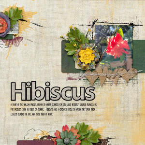 20_Bad-Photo_Hibiscus