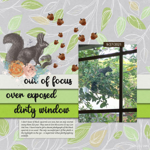 MOC 10 Jan20_Scrap A Bad Photo_black Squirrel