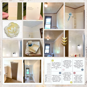 Painting the Bathroom 1