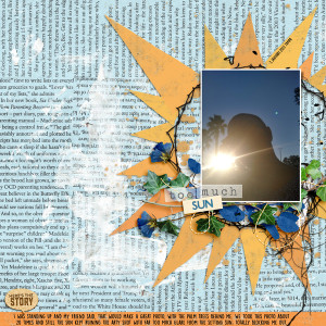MOC10_D20_Too Much Sun