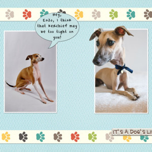 January-22---Make-Your-Own-Bobblehead---It's-a-Dog's-Life