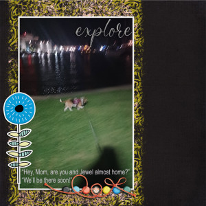 MOC10 1-20-22  Scrap A Bad Photo