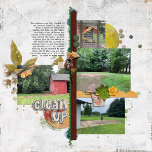 Outside Clean Up