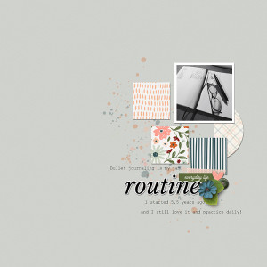 MOC16 - Routine