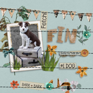 January 23: Stitched Down Stuff