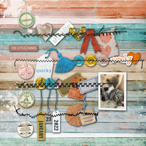 MOC1 10 Jan23_Stitched Down Stuff_little Things