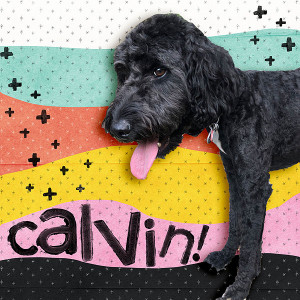 Calvin! - MOC day 22