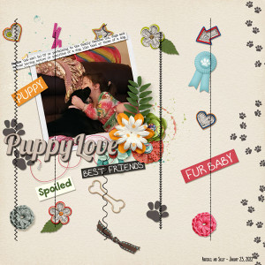 January 23_Stitched Down