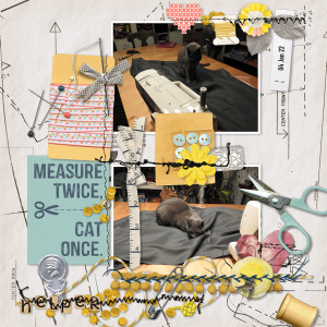 220104_sew Cat