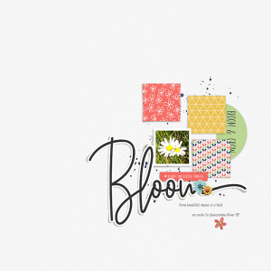 16: Bloom
