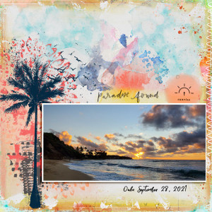 Paradise-Found