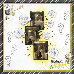 MOC10-Day-24-Tell-a-Conversation-with-Speech-Bubbles_WEB