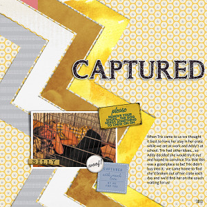 MOC10 Day 20 - Captured