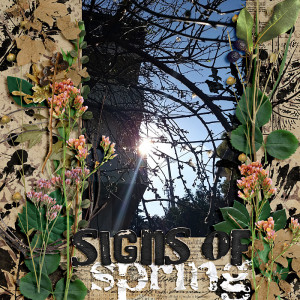 Signs of spring