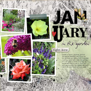 GARDEN JAN 2022 - RIGHT-SIDE