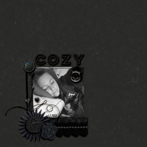 Cozy