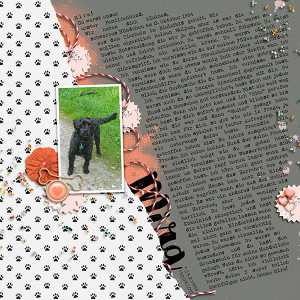 Moc10 - Day26 - Remembrance or Tribute Layout